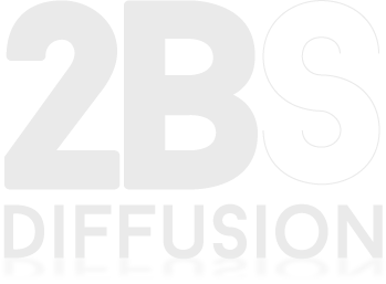 2BS-diffusion